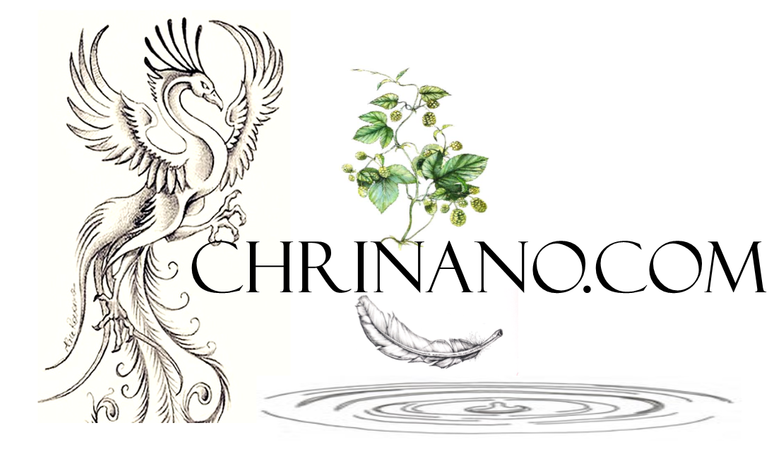 www.chrinano.com